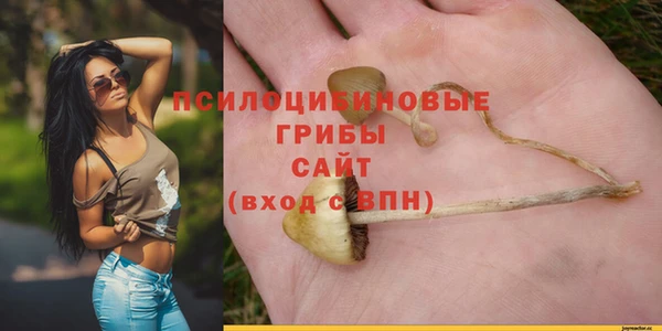 ALPHA-PVP Алексеевка